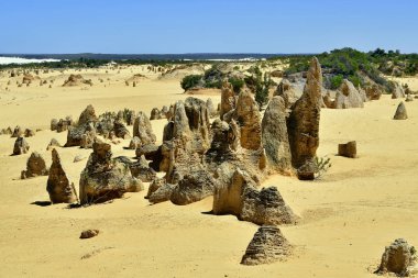 Avustralya, Wa, Pinnacles, 