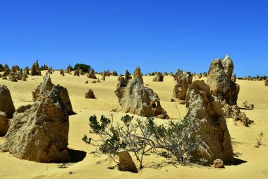 Avustralya, Wa, Pinnacles, 