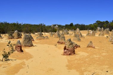 Avustralya, Wa, Pinnacles, 