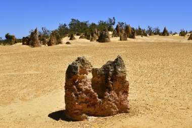 Avustralya, Wa, Pinnacles, 