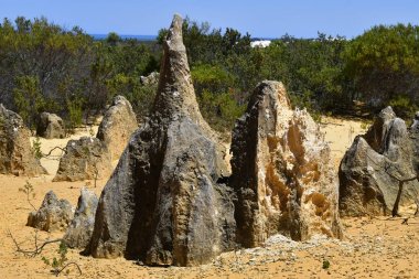 Avustralya, Wa, Pinnacles, 