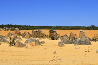 Avustralya, Wa, Pinnacles, 