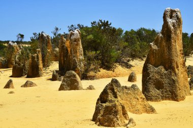 Avustralya, Wa, Pinnacles, 