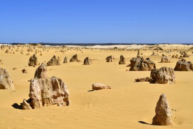 Avustralya, Wa, Pinnacles, 