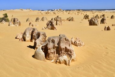 Avustralya, Wa, Pinnacles, 