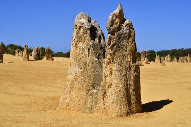 Avustralya, Wa, Pinnacles, 