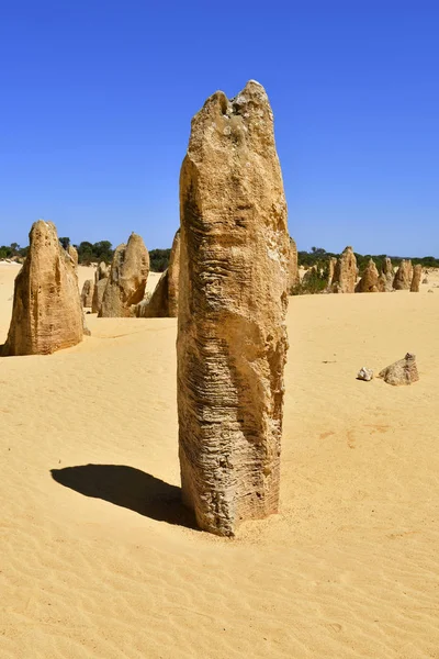 Australia, WA, Pinnacles, Stock Image