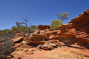 Avustralya, Wa, Kalbarri Np