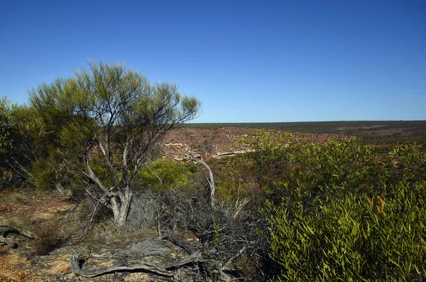 Australia, Wa, Kalbarri Np — Zdjęcie stockowe