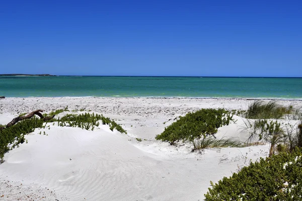 Australia, Wa, Cervantes — Foto de Stock