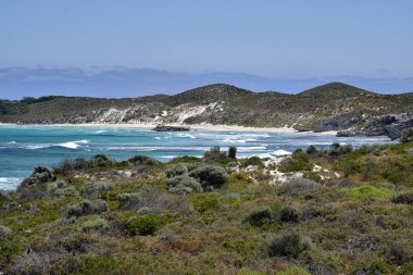 Avustralya, Rottnest Adası