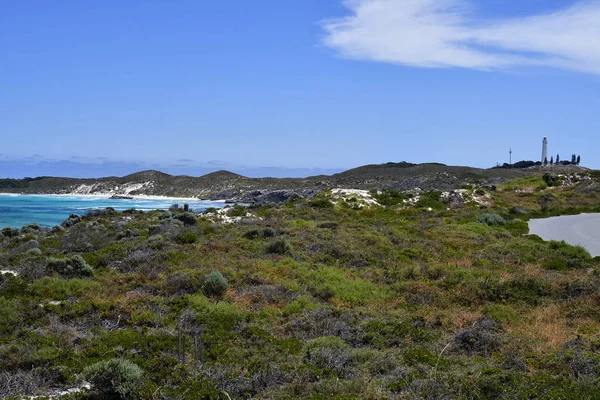 Austrálie, Rottnest Island — Stock fotografie