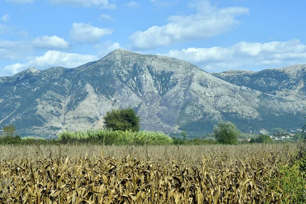 Griechenland, Grafschaft Epirus, Agrarlandschaft — Stockfoto