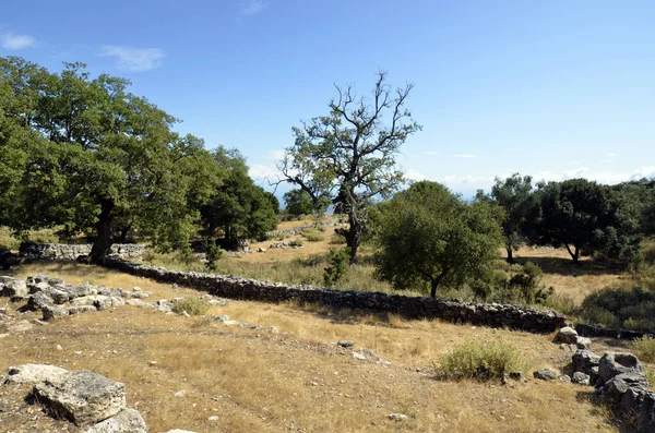 Grekland, Epirus, antikens Kassope — Stockfoto