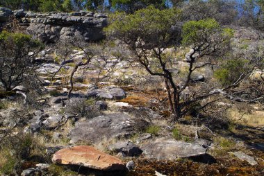 Avustralya, Grampians Ulusal Parkı 'ndaki doğal manzara, Victoria