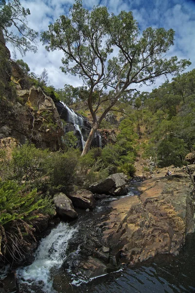 Halls Gap Vic Australia January 2008 Unidentified Tourist Mackenzie Falls — 图库照片