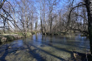 Avusturya, Aşağı Avusturya 'daki Pottendorf kalesinde bataklık manzarası