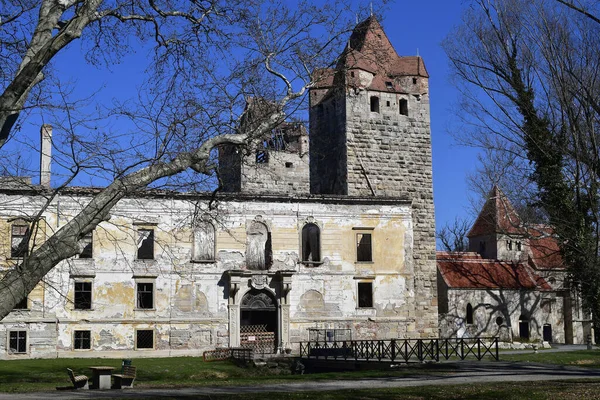 Austria Ruina Del Castillo Pottendorf Castillo Medieval Amarrado Baja Austria — Foto de Stock