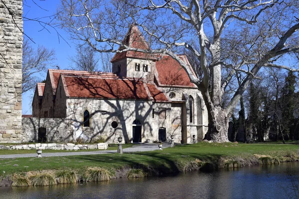 Austria Ruina Del Castillo Pottendorf Castillo Medieval Amarrado Baja Austria — Foto de Stock