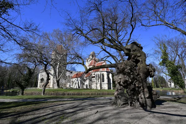 Österrike Ruinen Pottendorf Slott Vallgrav Medeltida Slott Niederösterreich Och Gamla — Stockfoto