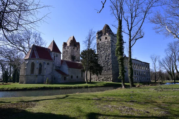 Austria Ruina Del Castillo Pottendorf Castillo Medieval Amarrado Baja Austria — Foto de Stock