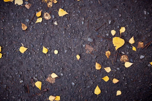 Gelbe Blätter auf Asphalt und Pfützen. . Hintergrund des dunkelblauen Pflasters — Stockfoto