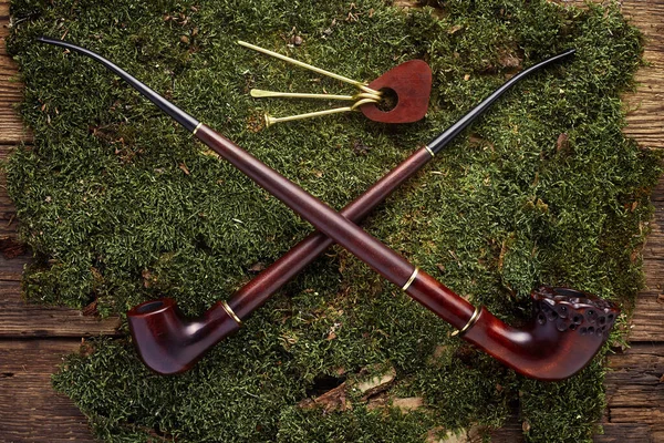 Tobacco pipe on on green moss background. Pipe Tamper. — Stock Photo, Image