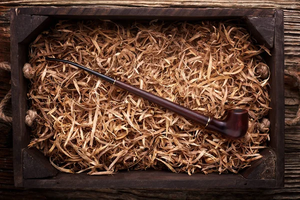 Tuyau de tabac posé en copeaux de bois sur une table en bois  . — Photo