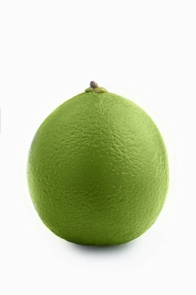 Tout un citron vert frais isolé sur un fond blanc . — Photo