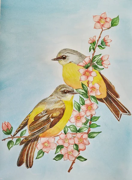 Suluboya çizimi. Ağaçta iki kuş. — Stok fotoğraf