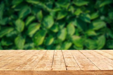 Boş ahşap güverte masası, yeşillik bokeh arka planlı. Ürün görüntüleme kurgusu için hazır.