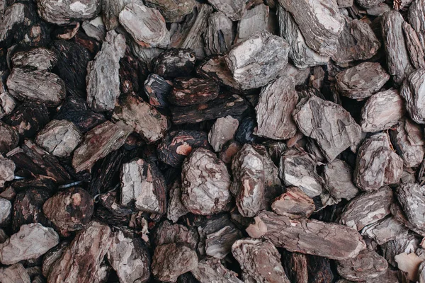 arka plan ağaç kabuğu olduğunu