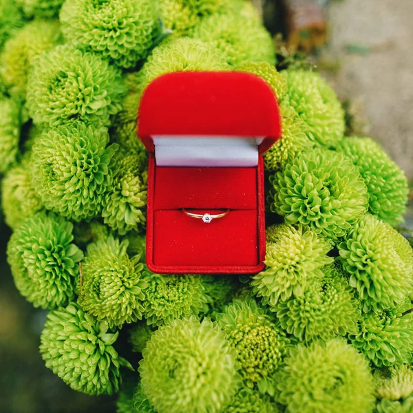 Modern bir elmas nişan yüzüğü kırmızı mücevher kutusunda yeşil arka plan (yumuşak odak üzerinde)