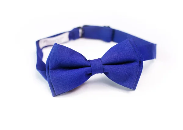 Beautiful Bow Tie — Stock Photo, Image