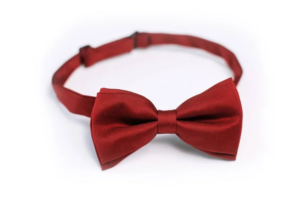 Beautiful Bow Tie — Stock Photo, Image