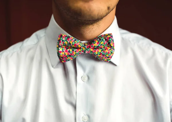Man with beard in bowtie — Stock Photo, Image
