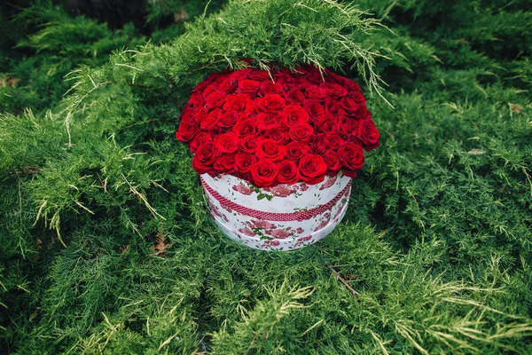 yeşil bir arka plan üzerinde kırmızı gül. bir kadın için çok pahalı ve şık bir hediye