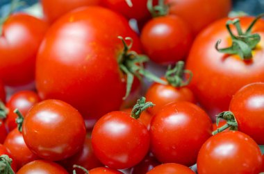 Lezzetli kırmızı domates karışımı. Pazar tarım çiftliği, organik sebzeler.