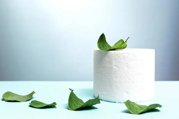 Rollo Papel Higiénico Con Aditivos Naturales Saludable Copiar Espacio Diseño — Foto de Stock