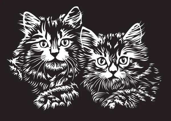 Dvě koťata — Stockový vektor
