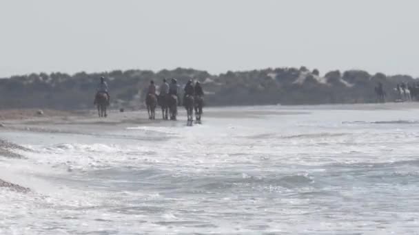 Waves Riders Beach Camargue France — Stock Video