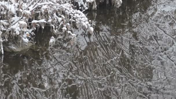 Річка Снігових Зимових Лісах — стокове відео