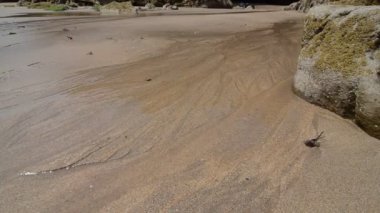 Taşları olan güzel kumlu sahil