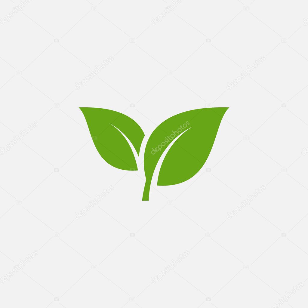 Flat leaves icons. Leaf vector illustration