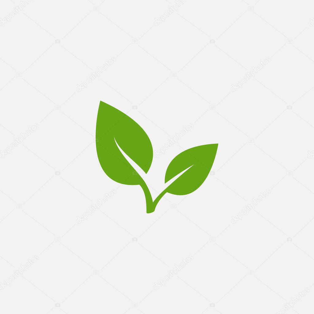 Flat leaves icons. Leaf vector illustration