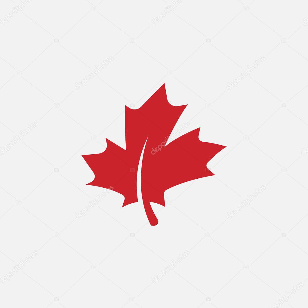 Autumn leaf canadian icon vector, maple leaf