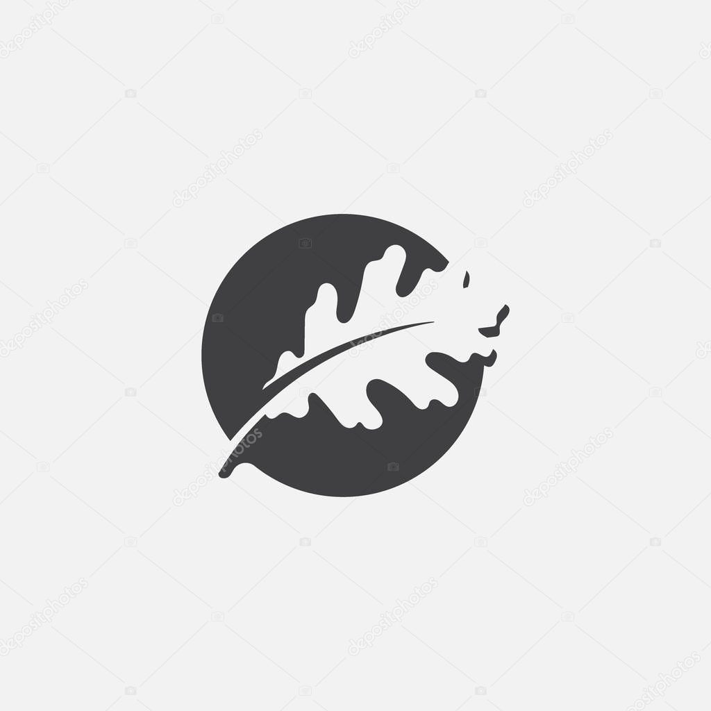 Flat leaves icons. oak Leaf vector illustration