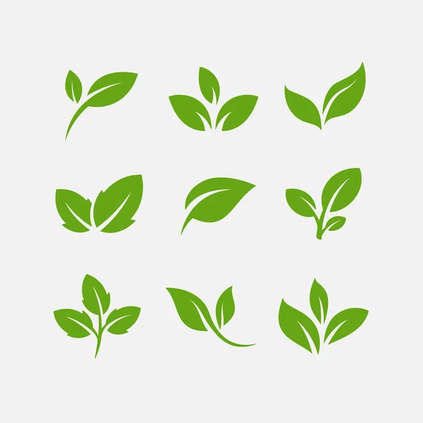 Pacchetto icona foglie piatte. Illustrazione vettoriale foglia — Vettoriale Stock