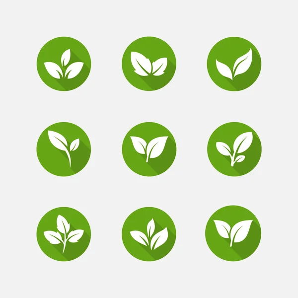 Pacchetto icona foglie piatte. Illustrazione vettoriale foglia — Vettoriale Stock