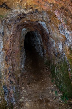 Yarasaların yaşadığı küçük mağara, bazıları gündüz dinleniyor.